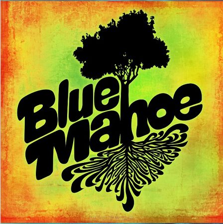 BLUE MAHOE  Blue mahoe